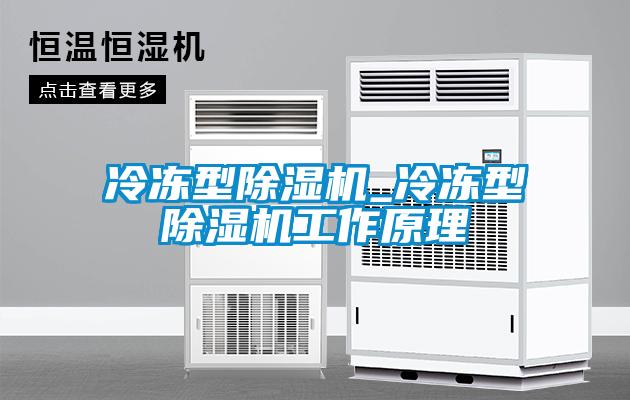 冷冻型除湿机_冷冻型除湿机工作原理