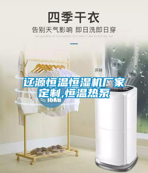 辽源恒温恒湿机厂家定制,恒温热泵
