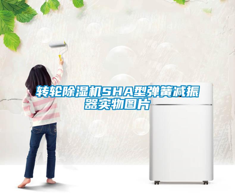 转轮除湿机SHA型弹簧减振器实物图片