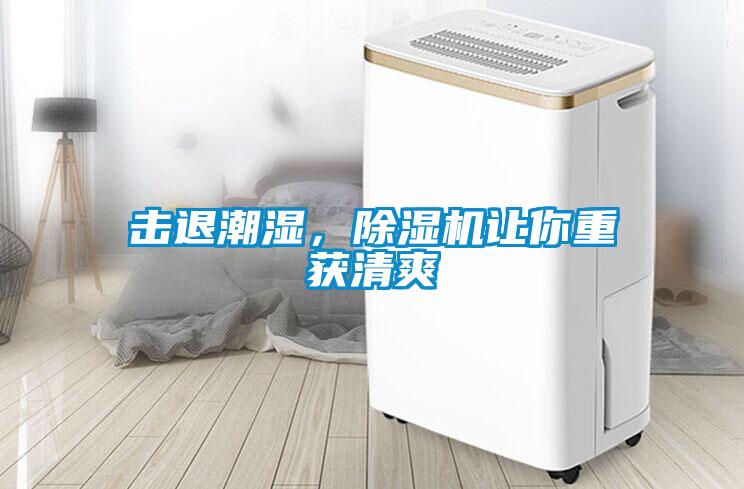 击退潮湿，除湿机让你重获清爽