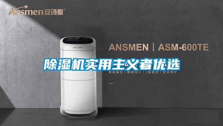 除湿机实用主义者优选