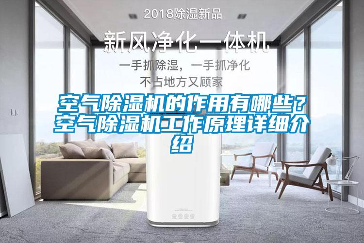 空气除湿机的作用有哪些？空气除湿机工作原理详细介绍