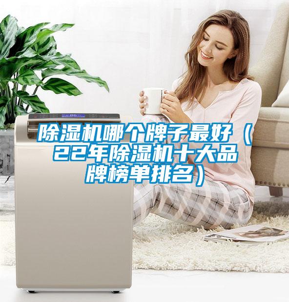 除湿机哪个牌子最好（22年除湿机十大品牌榜单排名）