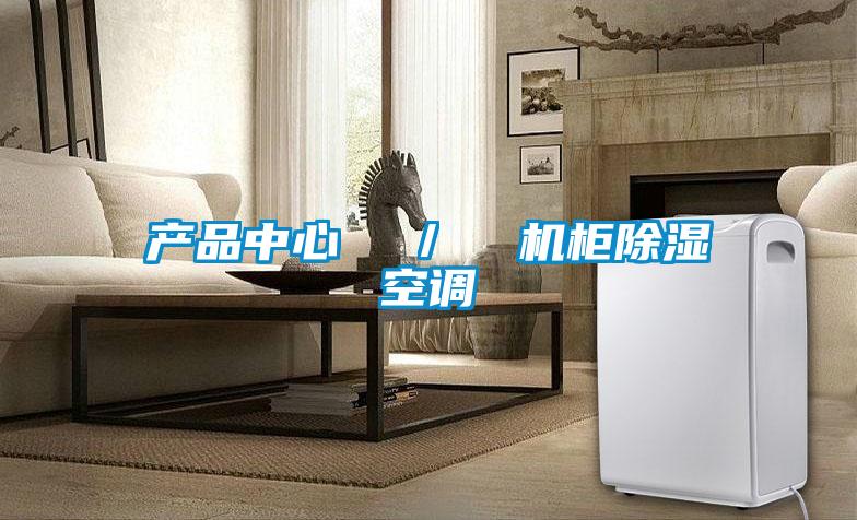 产品中心  ／  机柜除湿空调