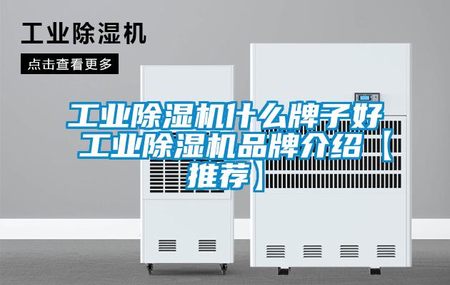 工业除湿机什么牌子好 工业除湿机旭彩网【推荐】