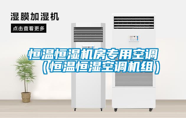 恒温恒湿机房专用空调（恒温恒湿空调机组）