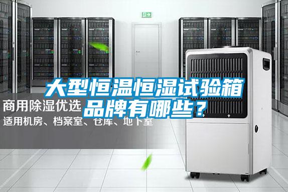 大型恒温恒湿试验箱品牌有哪些？