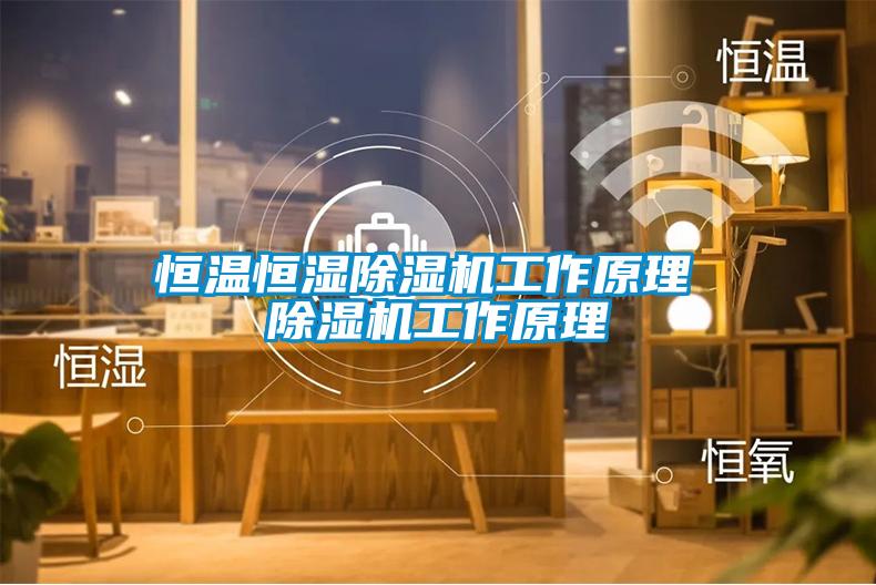 恒温恒湿除湿机工作原理 除湿机工作原理