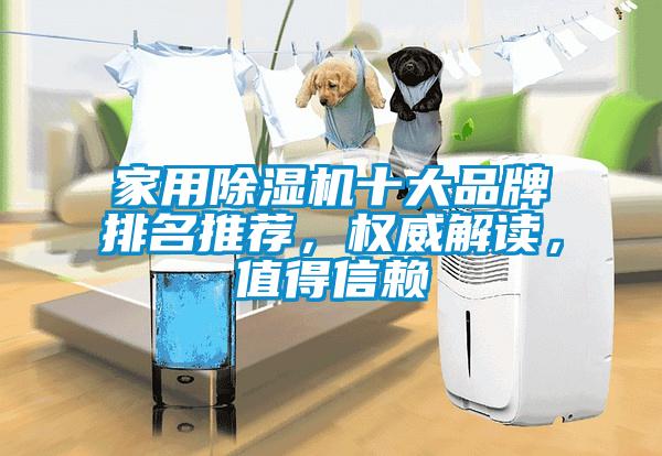 家用除湿机十大品牌排名推荐，权威解读，值得信赖