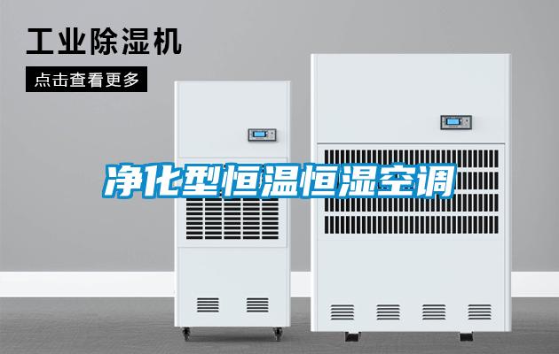 净化型恒温恒湿空调