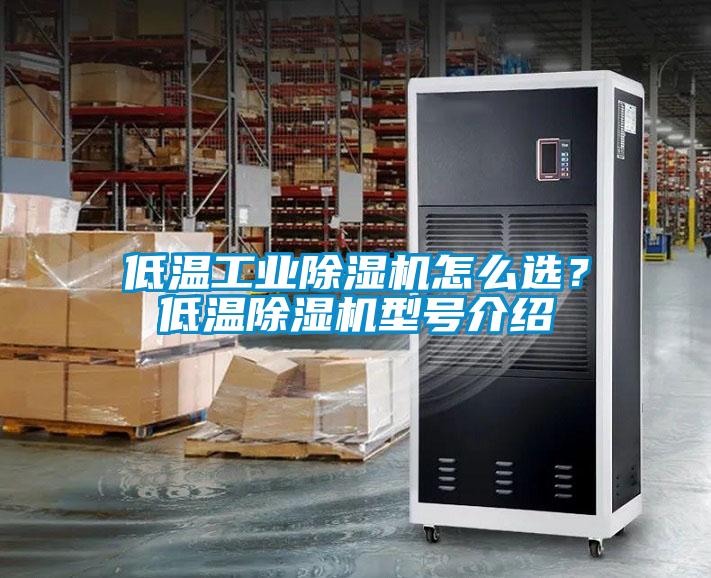 低温工业除湿机怎么选？低温除湿机型号介绍