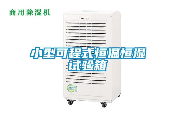 小型可程式恒温恒湿试验箱