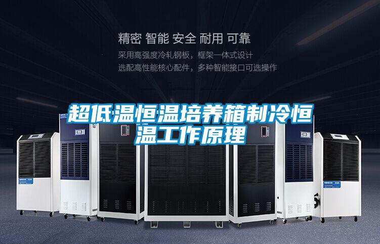 超低温恒温培养箱制冷恒温工作原理
