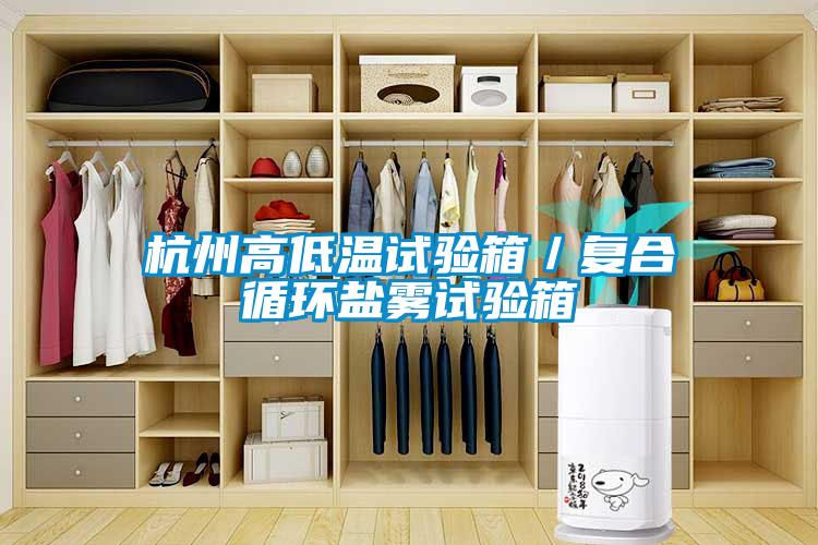杭州高低温试验箱／复合循环盐雾试验箱
