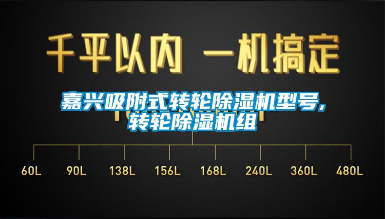 嘉兴吸附式转轮除湿机型号,转轮除湿机组