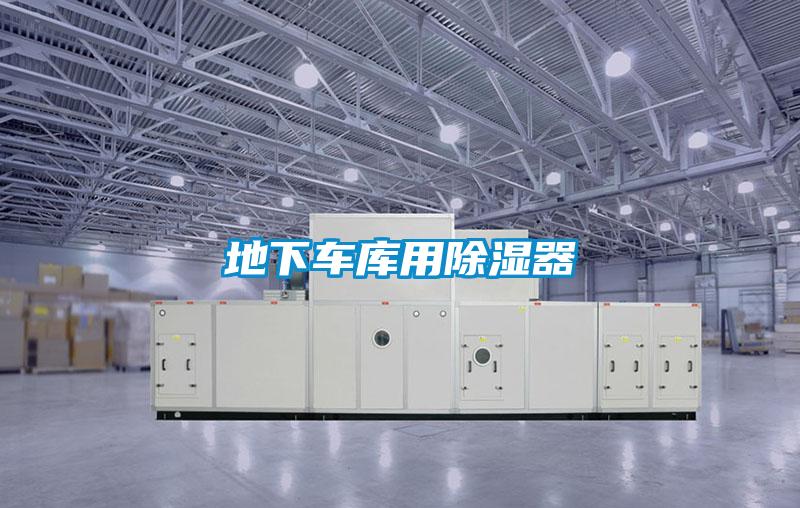 地下车库用除湿器
