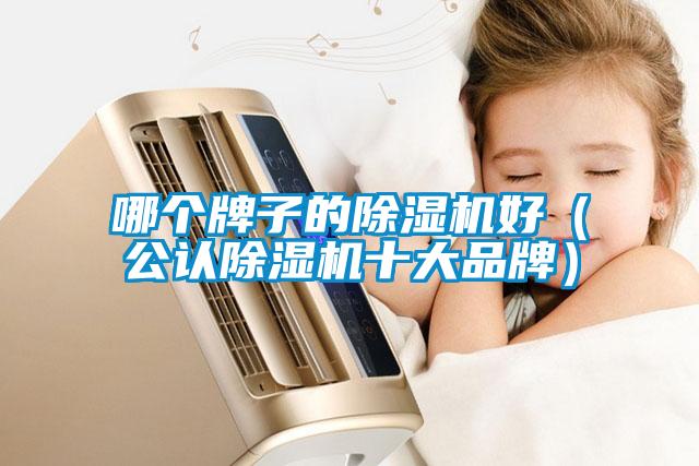 哪个牌子的除湿机好（公认除湿机十大品牌）