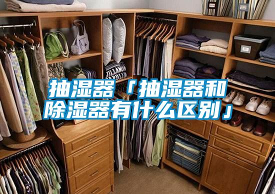抽湿器「抽湿器和除湿器有什么区别」