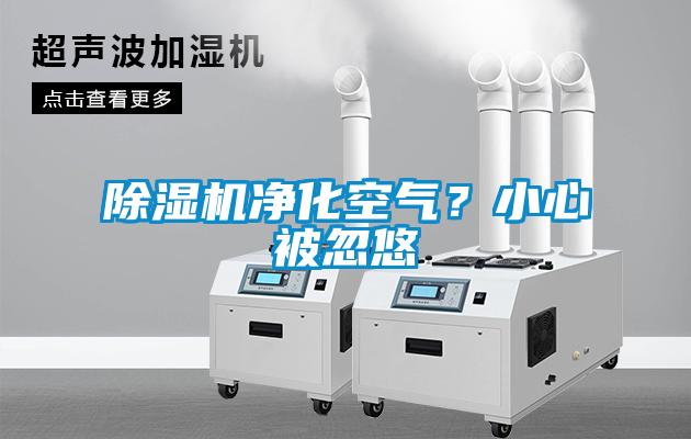 除湿机净化空气？小心被忽悠