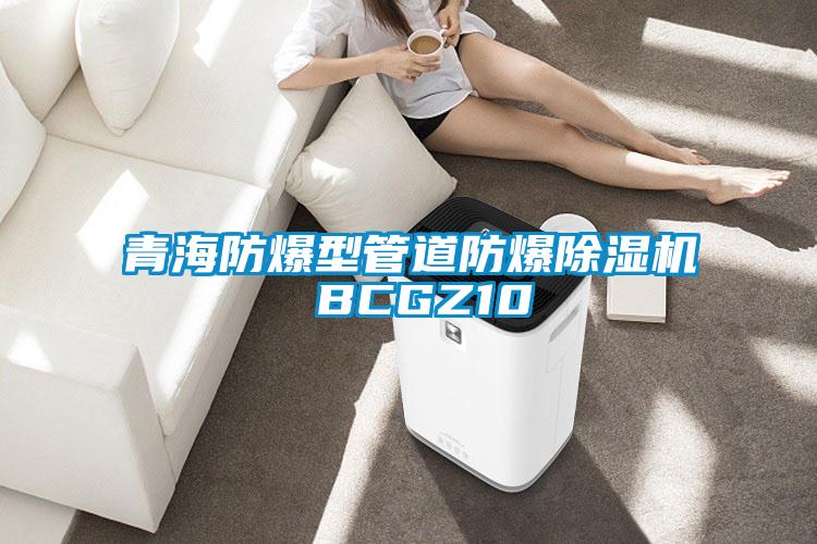 青海防爆型管道防爆除湿机 BCGZ10