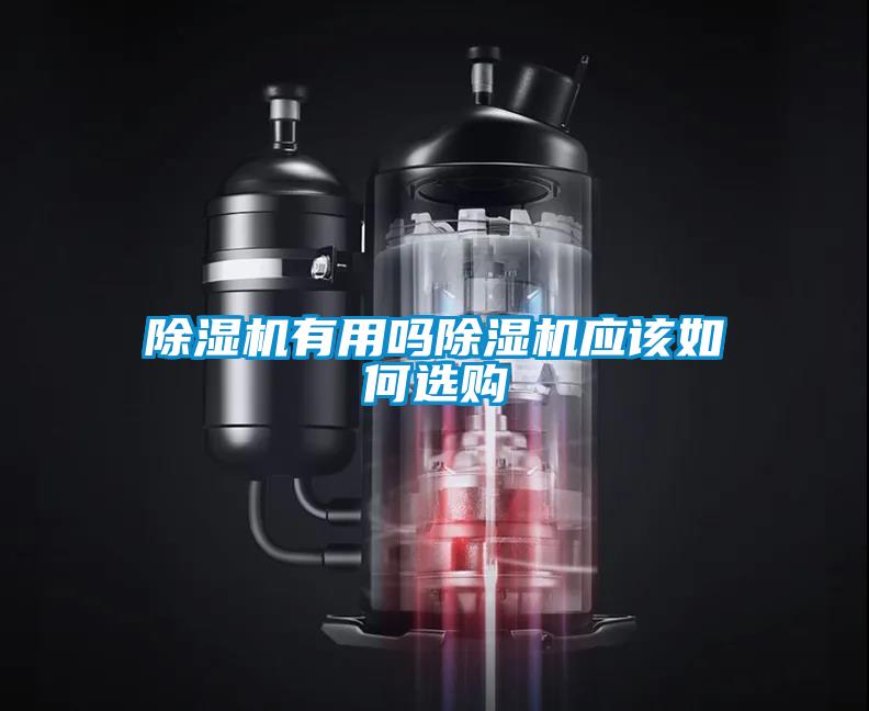 除湿机有用吗除湿机应该如何选购