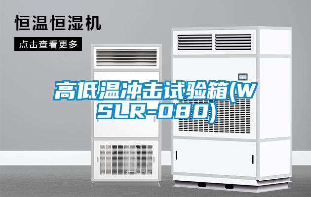 高低温冲击试验箱(WSLR-080)