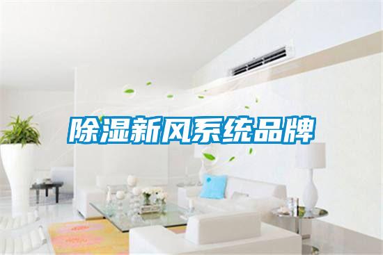 除湿新风系统品牌