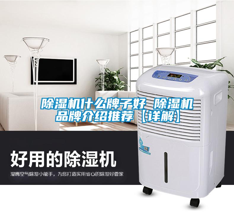 除湿机什么牌子好 除湿机旭彩网推荐【详解】