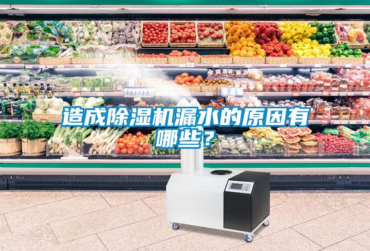 造成除湿机漏水的原因有哪些？