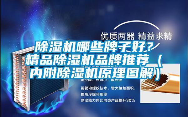 除湿机哪些牌子好？精品除湿机品牌推荐（内附除湿机原理图解）