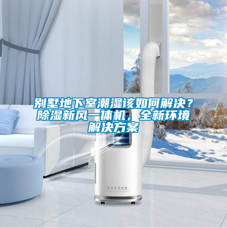 别墅地下室潮湿该如何解决？除湿新风一体机，全新环境解决方案