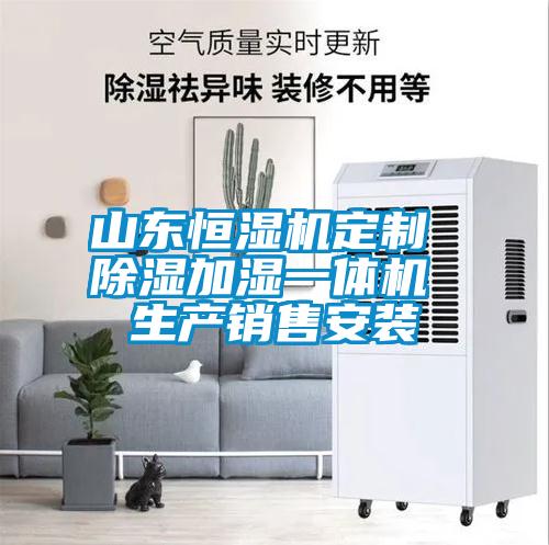 山东恒湿机定制 除湿加湿一体机 生产销售安装