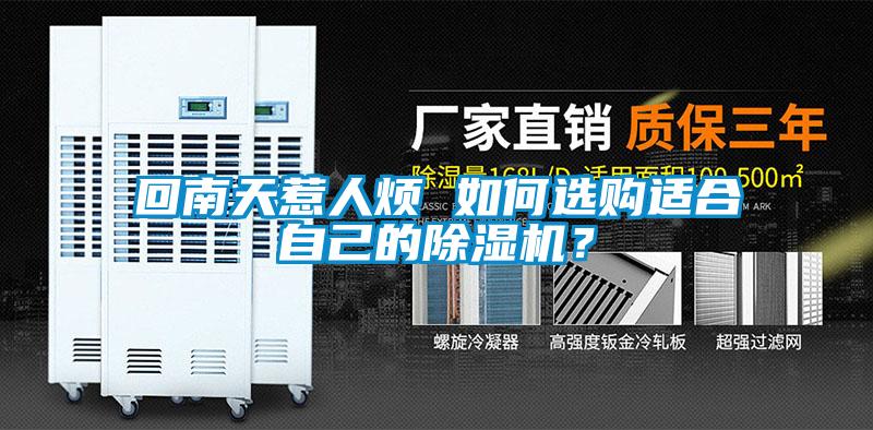 回南天惹人烦 如何选购适合自己的除湿机？