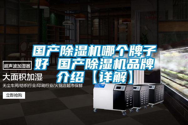 国产除湿机哪个牌子好 国产除湿机旭彩网【详解】