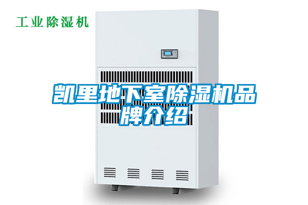 凯里地下室除湿机旭彩网