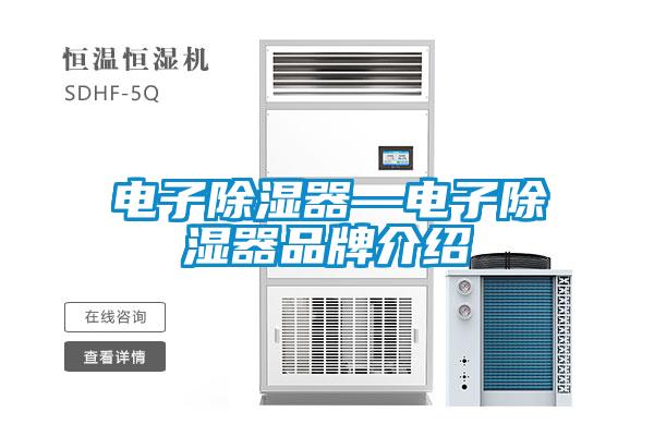 电子除湿器—电子除湿器旭彩网