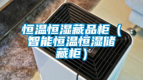 恒温恒湿藏品柜（智能恒温恒湿储藏柜）