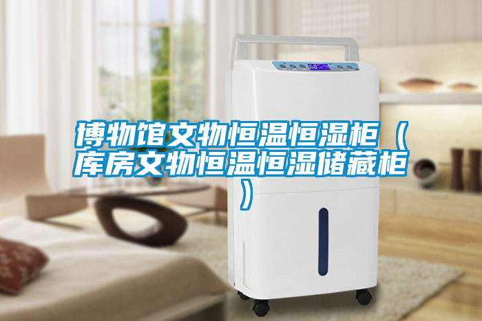 博物馆文物恒温恒湿柜（库房文物恒温恒湿储藏柜）