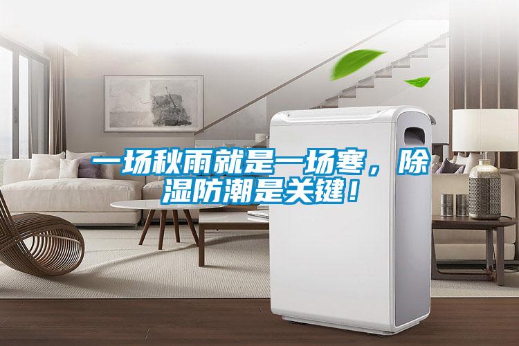 一场秋雨就是一场寒，除湿防潮是关键！
