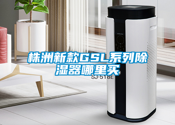 株洲新款GSL系列除湿器哪里买
