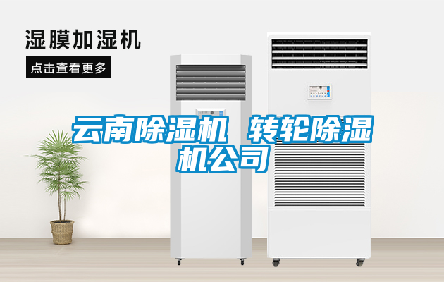 云南除湿机 转轮除湿机公司