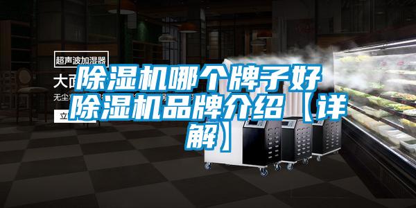 除湿机哪个牌子好 除湿机旭彩网【详解】
