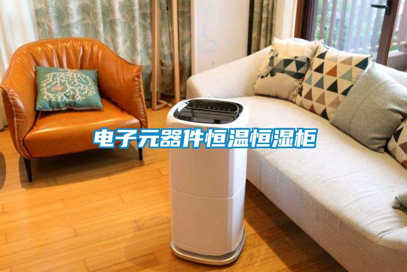 电子元器件恒温恒湿柜