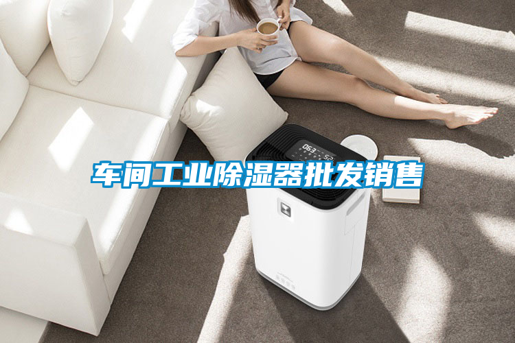 车间工业除湿器批发销售