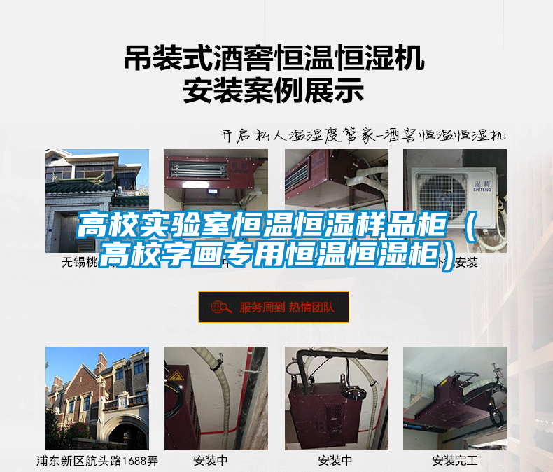 高校实验室恒温恒湿样品柜（高校字画专用恒温恒湿柜）