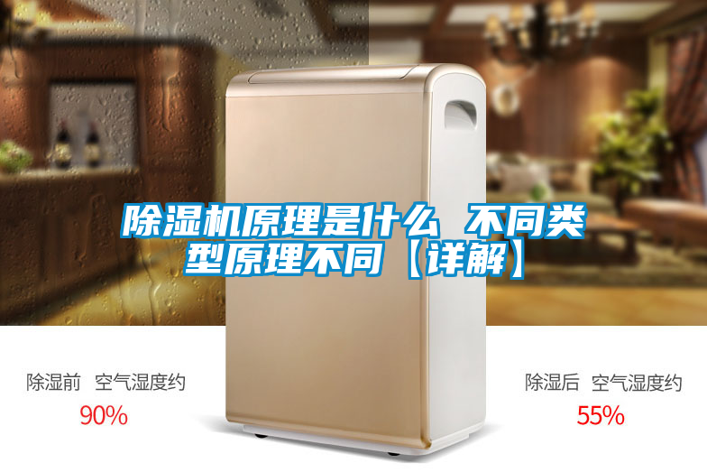 除湿机原理是什么 不同类型原理不同【详解】