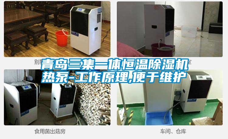 青岛三集一体恒温除湿机热泵-工作原理,便于维护