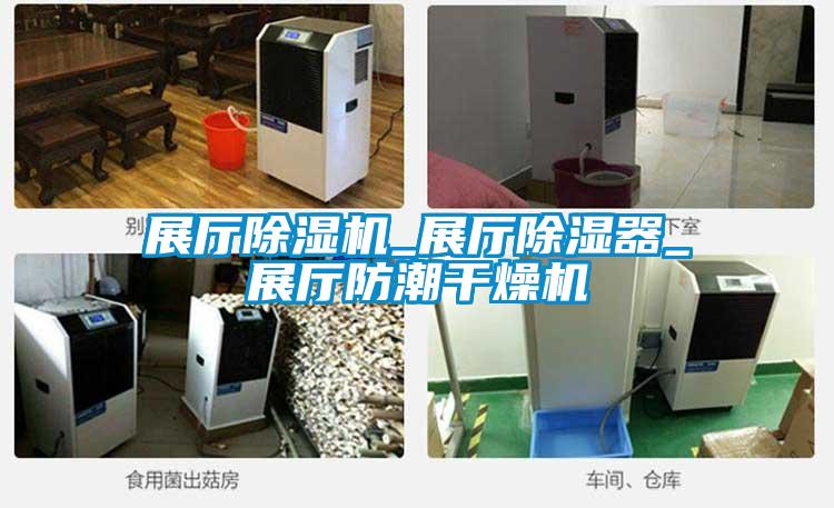 展厅除湿机_展厅除湿器_展厅防潮干燥机