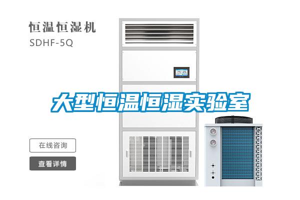 大型恒温恒湿实验室