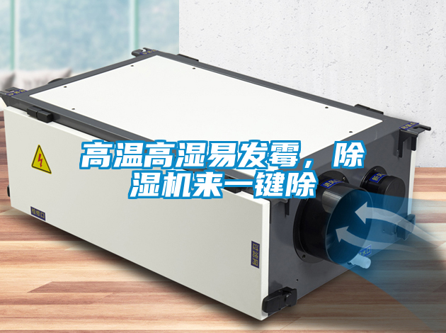 高温高湿易发霉，除湿机来一键除